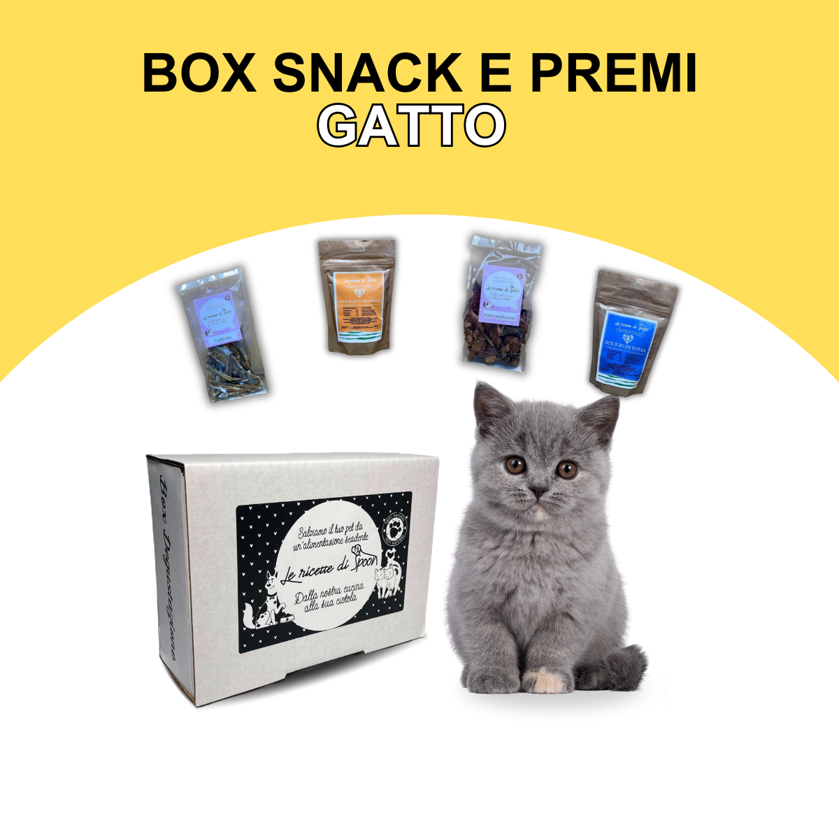Box Snack e Premi Personalizzabile - Gatto