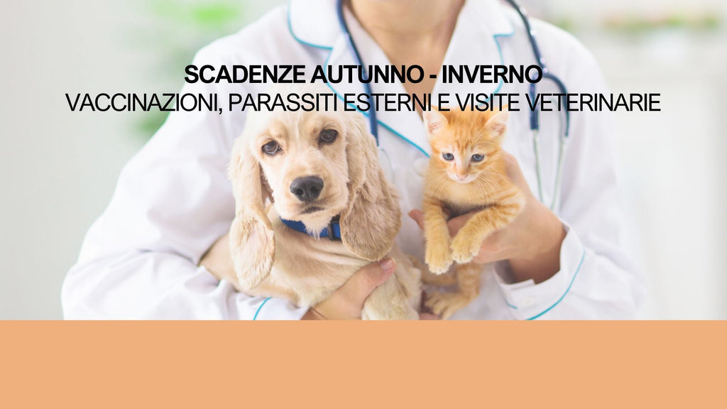 Calendario delle scadenze: vaccinazioni, parassiti esterni e visite veterinarie per l’autunno/inverno