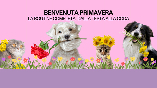 Benvenuta primavera: la routine completa dalla testa alla coda