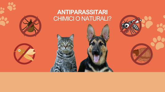 Antiparassitari: chimici o naturali?