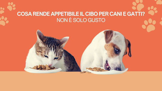 Cosa rende appetibile il cibo per cani e gatti: non è solo gusto