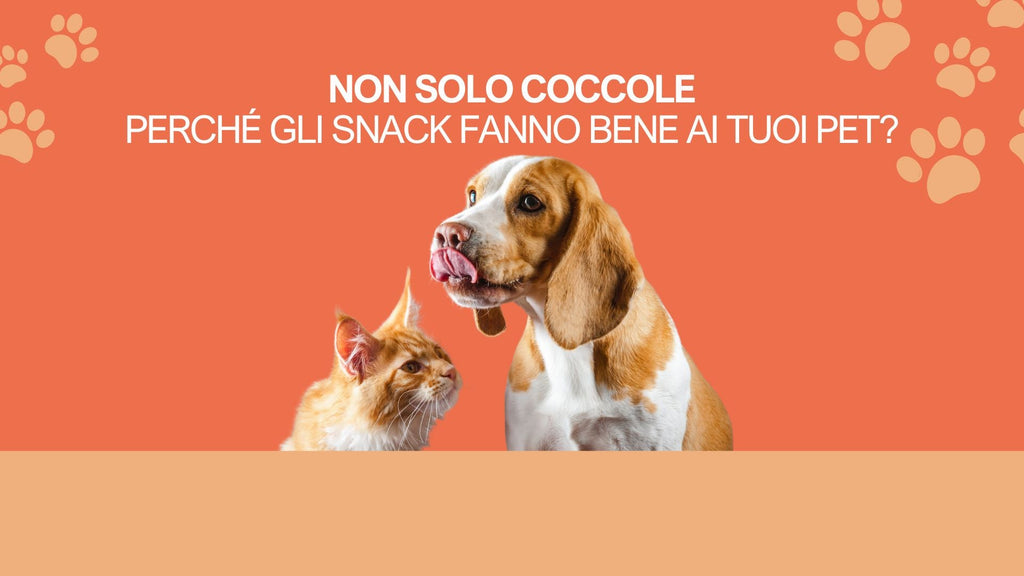 Non solo coccole: perché gli snack fanno bene ai tuoi pet?