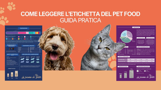 Come leggere l'etichetta del pet food: guida pratica