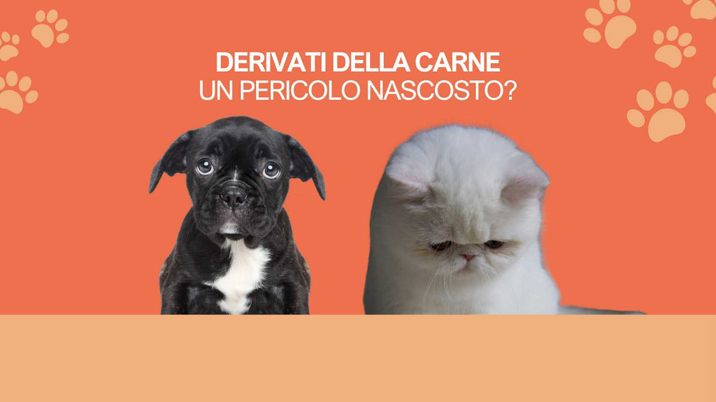 Derivati della carne: un pericolo nascosto?