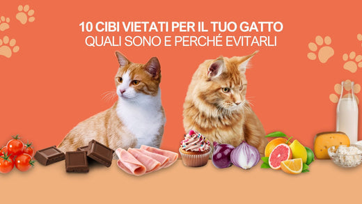 10 cibi VIETATI per il tuo gatto: quali sono e perché evitarli