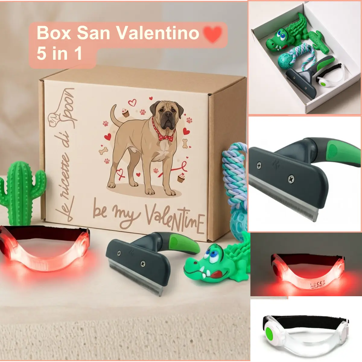 Box S. Valentino Cane - Limited edition