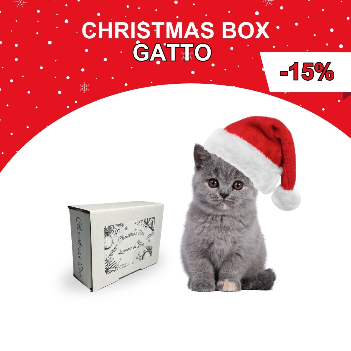 Christmas Box Gatto