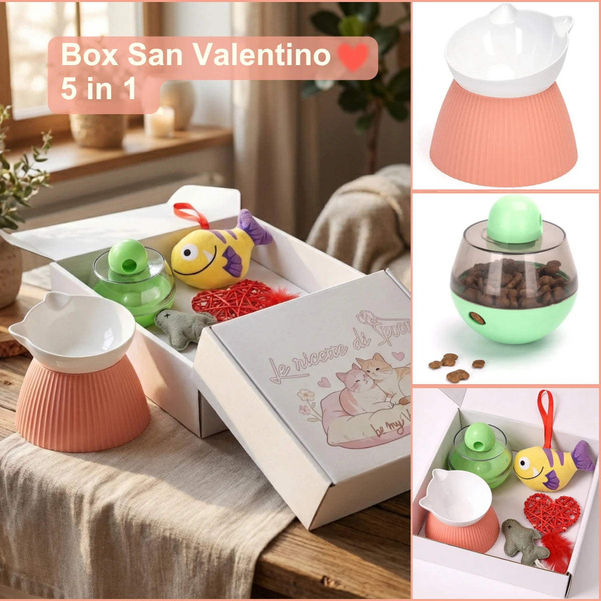 Box S. Valentino Gatto - Limited edition