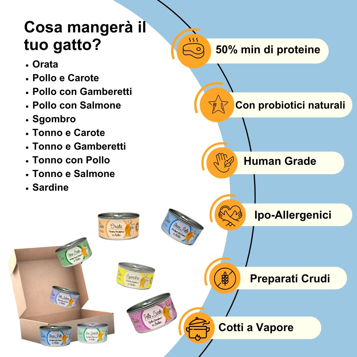 Box Degustazione 10 scatolette (10x85gr) di umido con probiotici gatto
