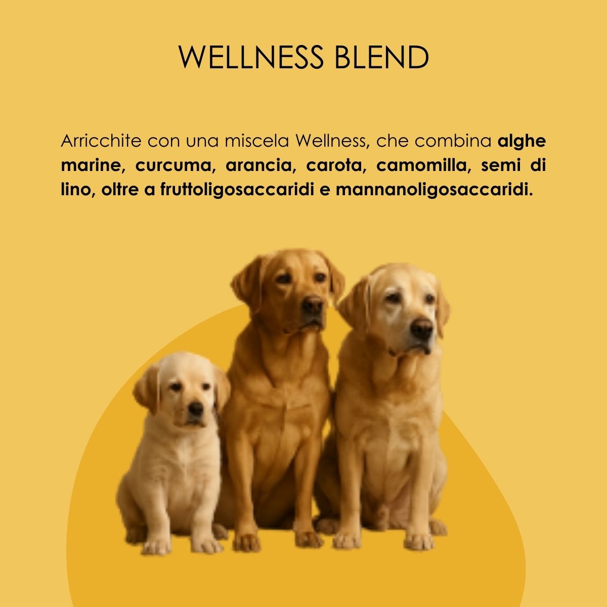 VetCare crocchette cane - Dieta ipoallergenica "Vita Sana"