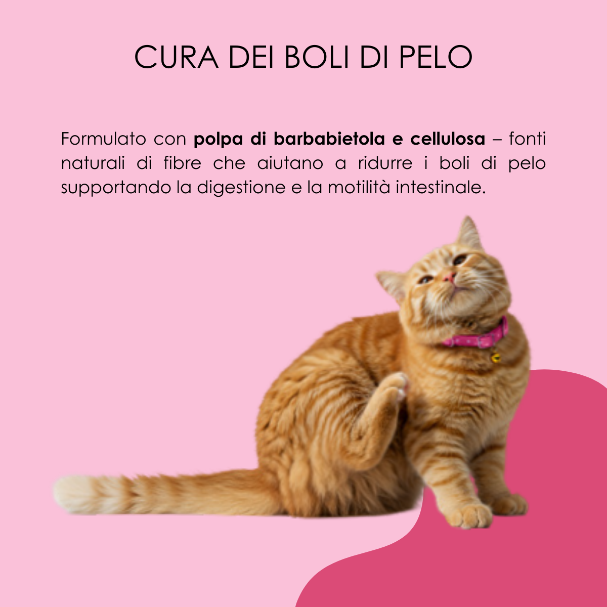 VetCare crocchette gatto - Cura della cute, del manto & hairball