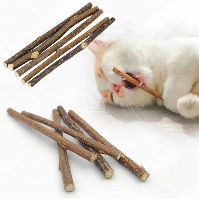 Bastoncini di MATATABI per gatto