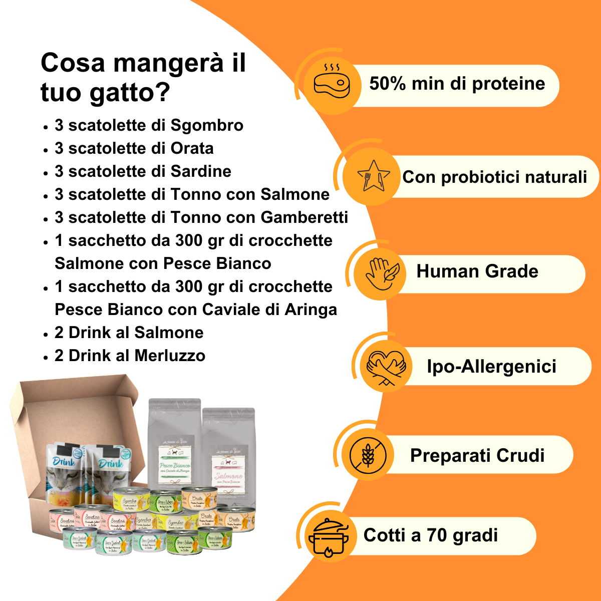 Box Degustazione Umido, Secco e Drink Gatto - Ocean Mix