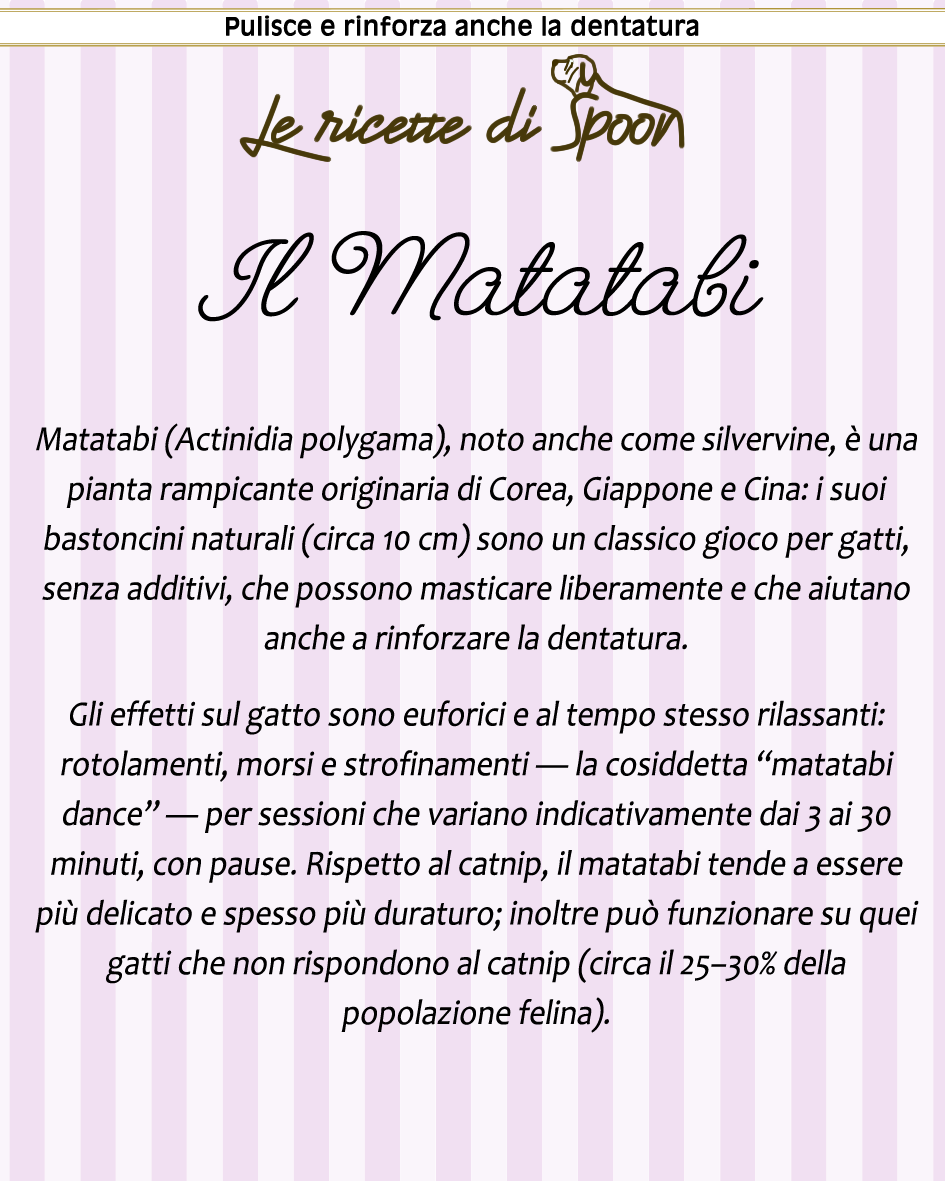 Bastoncini di MATATABI per gatto
