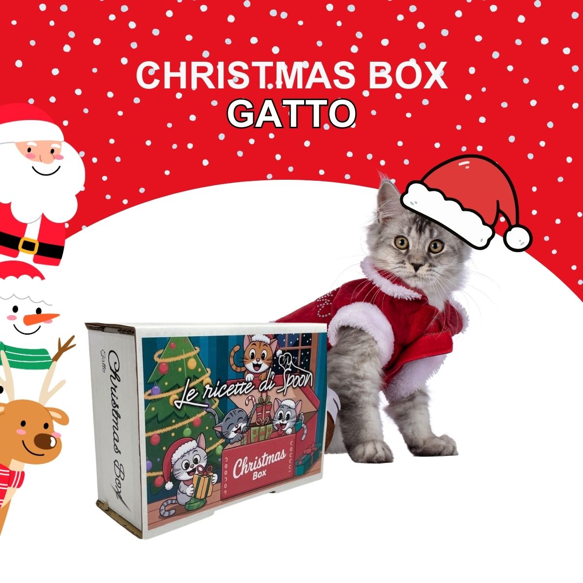 Box Natale Gatto