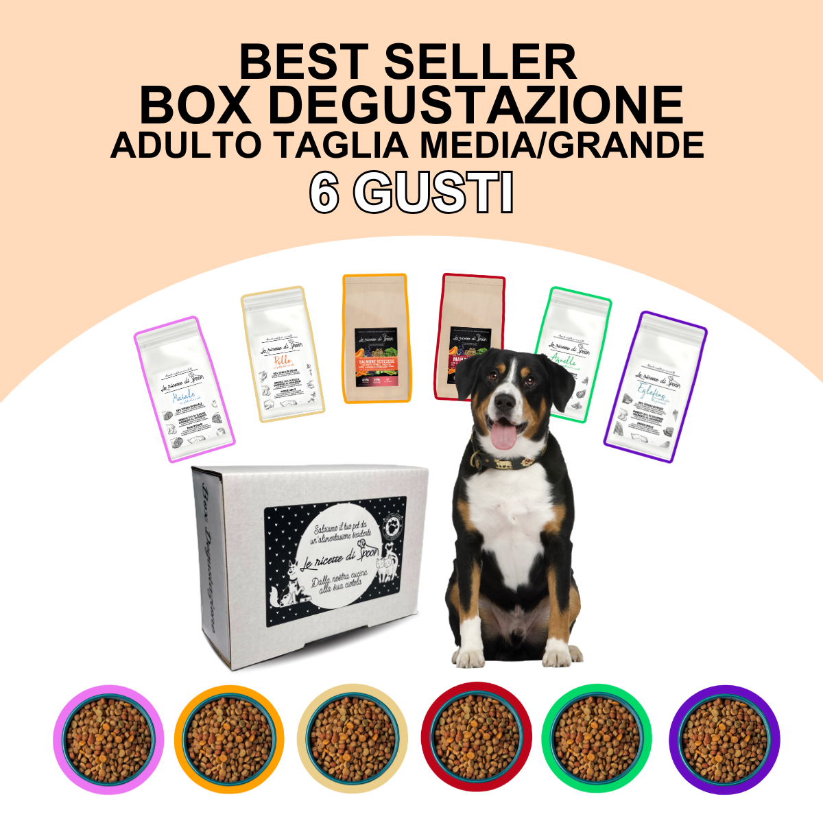 Box Degustazione Crocchette Bestseller Cane Adulto taglia media/grande - 6 pacchetti da 100 gr