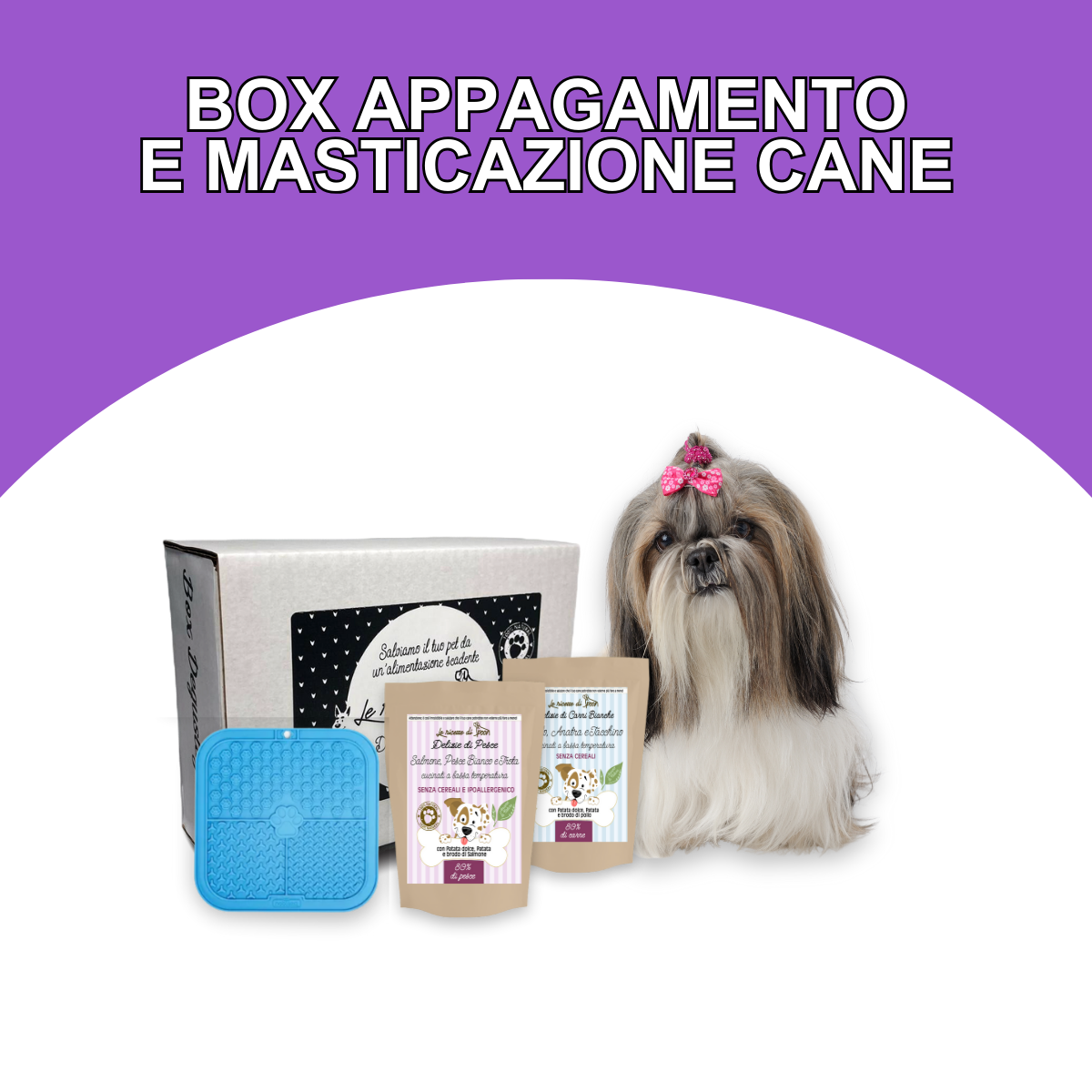 Box Appagamento e Masticazione Cane