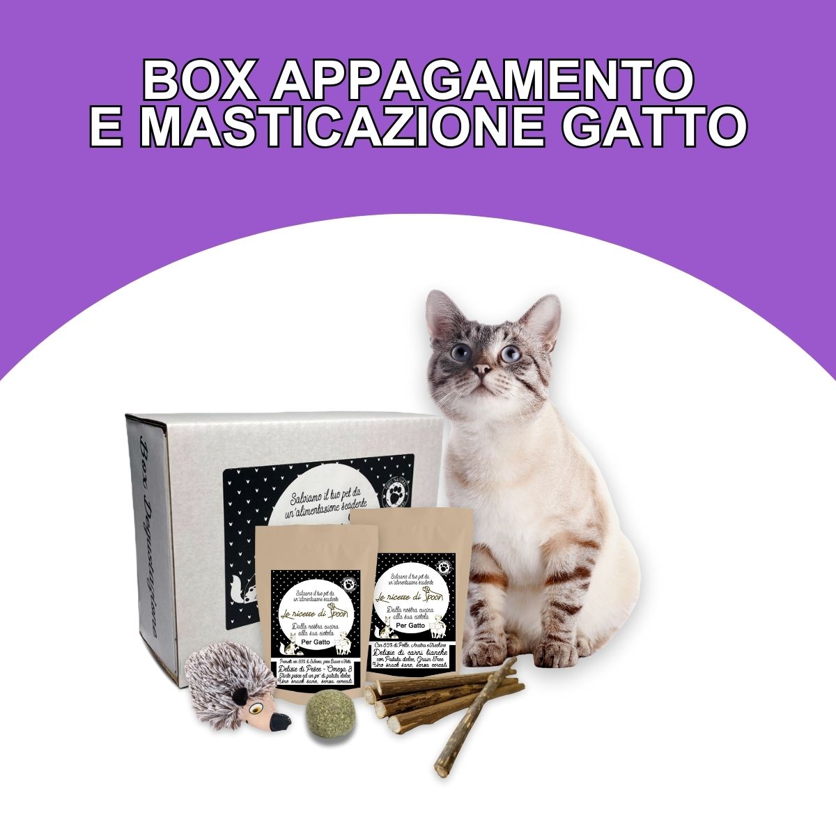 Box Appagamento e Masticazione Gatto