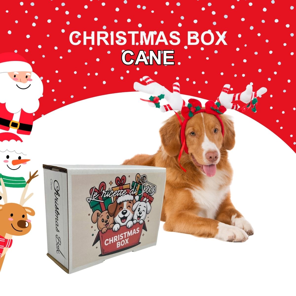 Box Natale Cane