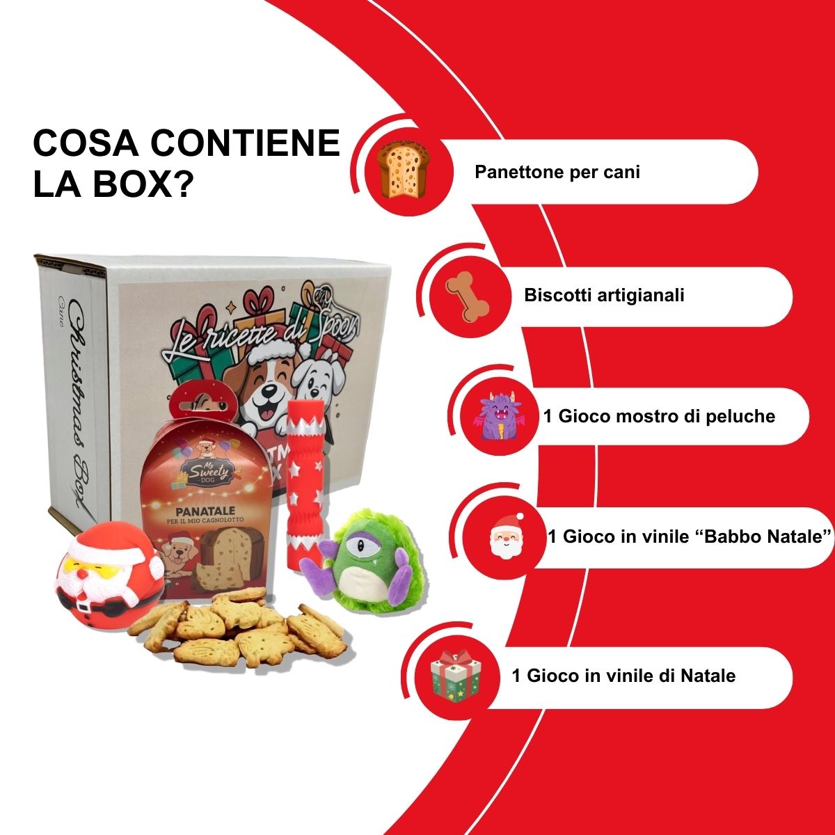 Box Natale Cane