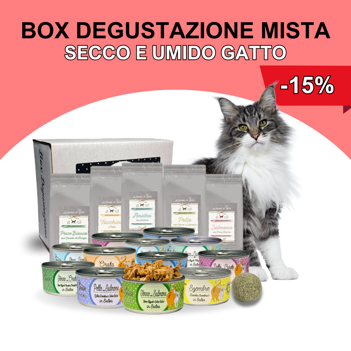 Box Degustazione MISTA - 11 scatolette umido, 5 bustine crocchette, 1 pallina erba gatta
