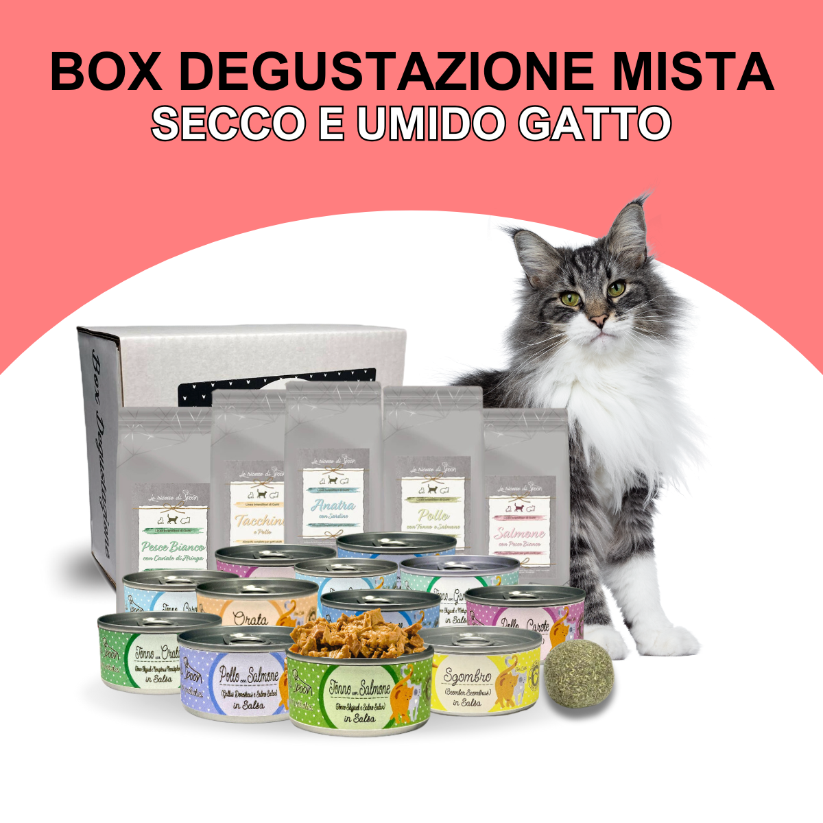 Box Degustazione MISTA - 11 scatolette umido, 5 bustine crocchette, 1 pallina erba gatta
