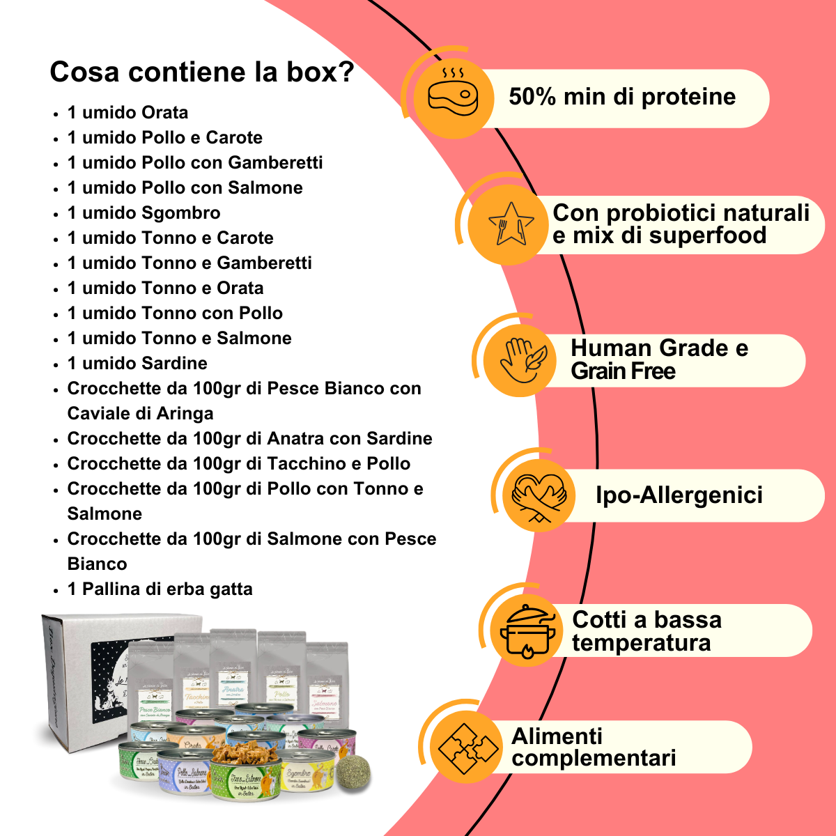 Box Degustazione MISTA - 11 scatolette umido, 5 bustine crocchette, 1 pallina erba gatta