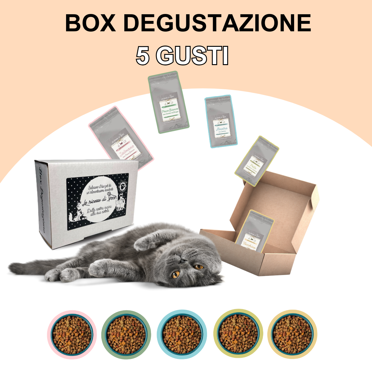 Box Degustazione Gatto Adulto - 5 Pacchetti da 100 gr