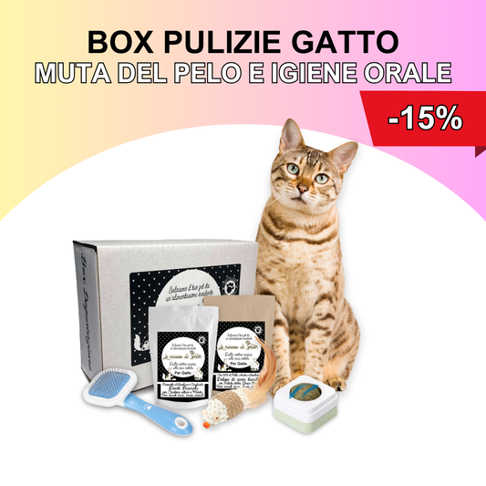 Box Pulizie Gatto - Muta del pelo e igiene orale
