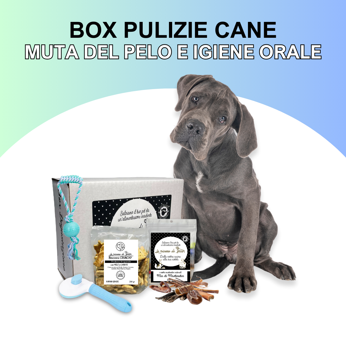 Box Pulizie Cane - Muta del pelo e igiene orale