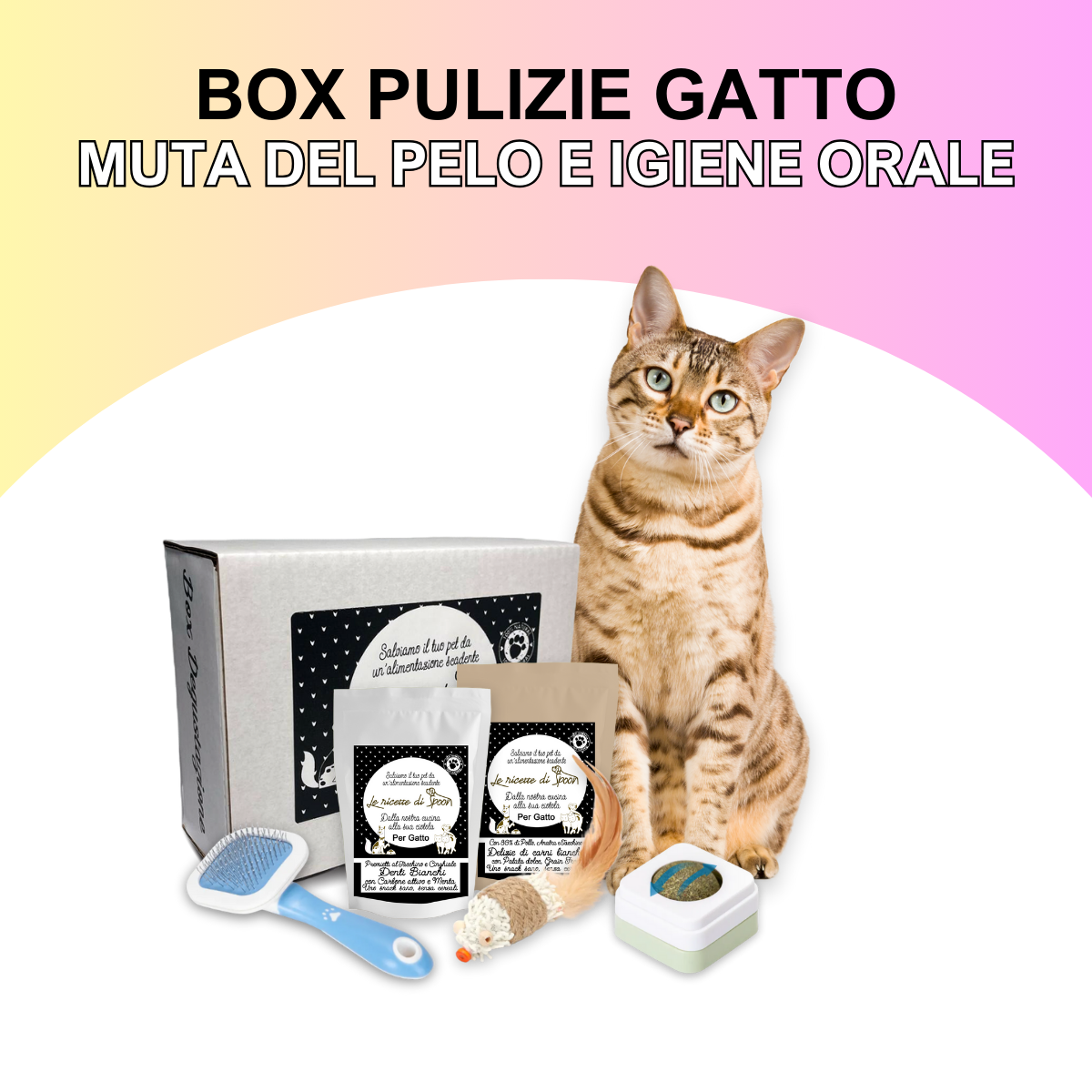 Box Pulizie Gatto - Muta del pelo e igiene orale