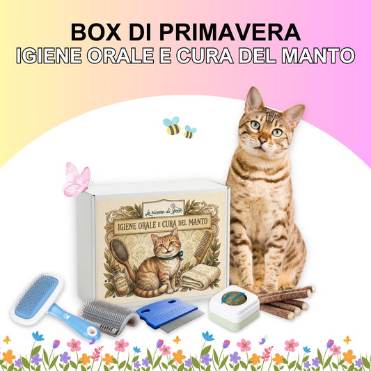 Box di Primavera Gatto - Igiene orale e cura del manto