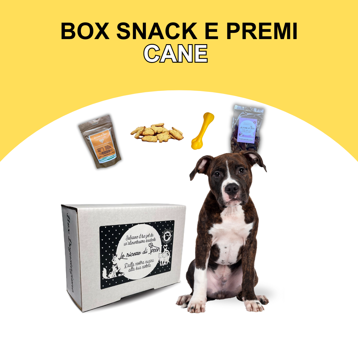 Box Snack e Premi - Cane