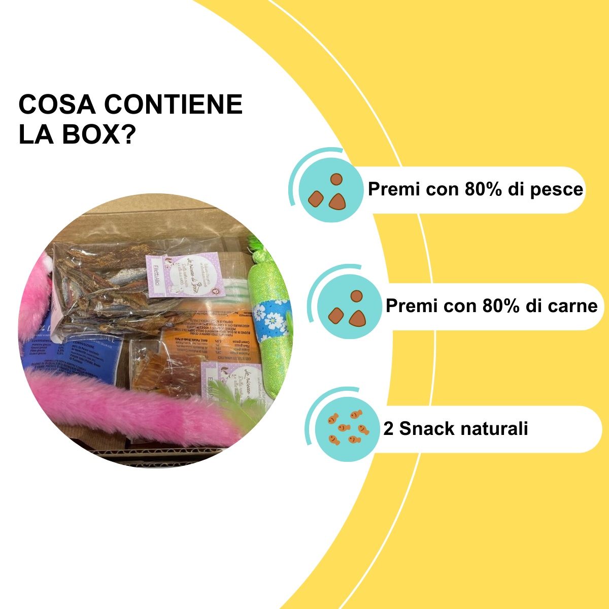 Box Snack e Premi Personalizzabile - Gatto