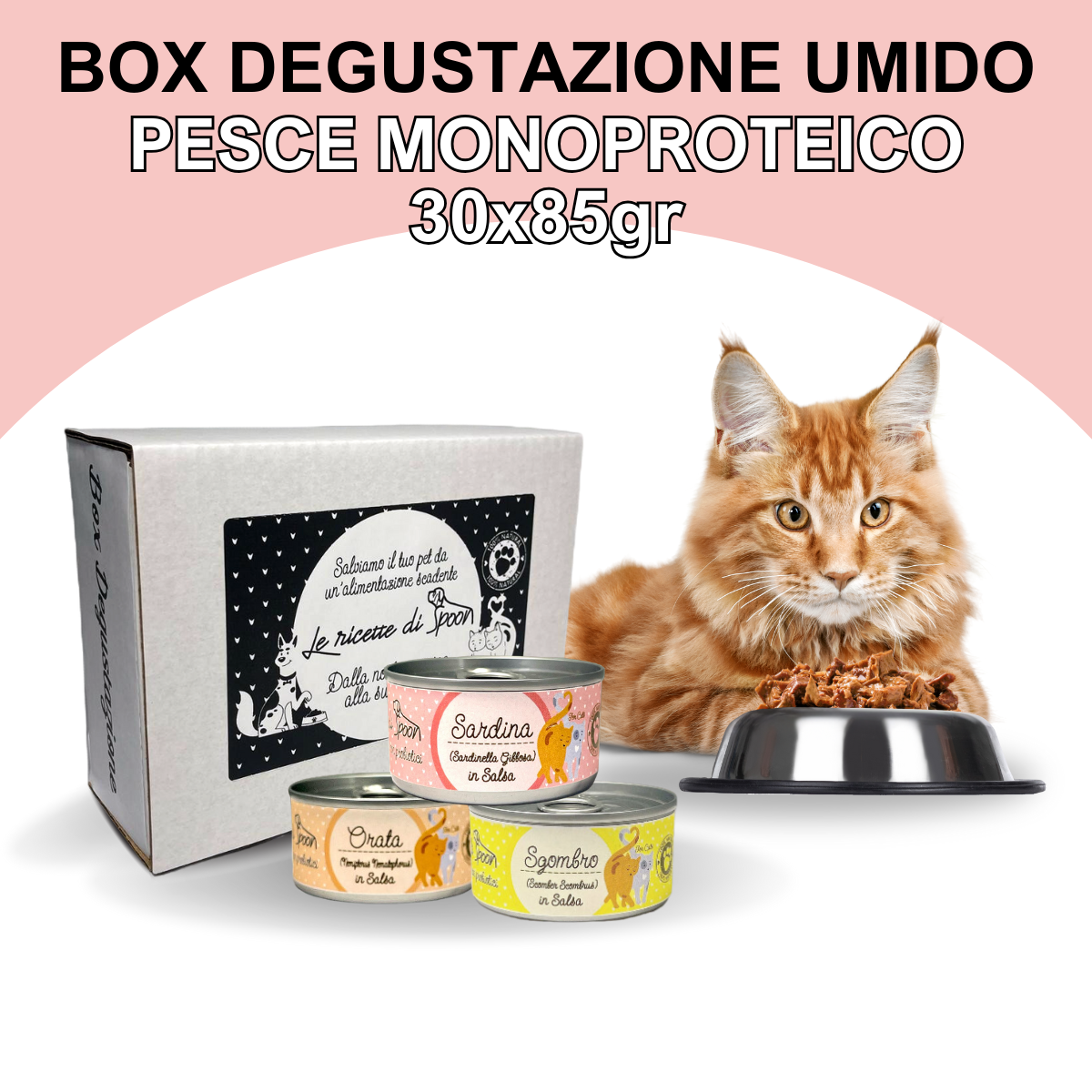 Box Degustazione Umido Gatto - Pesce monoproteico (30x85gr)