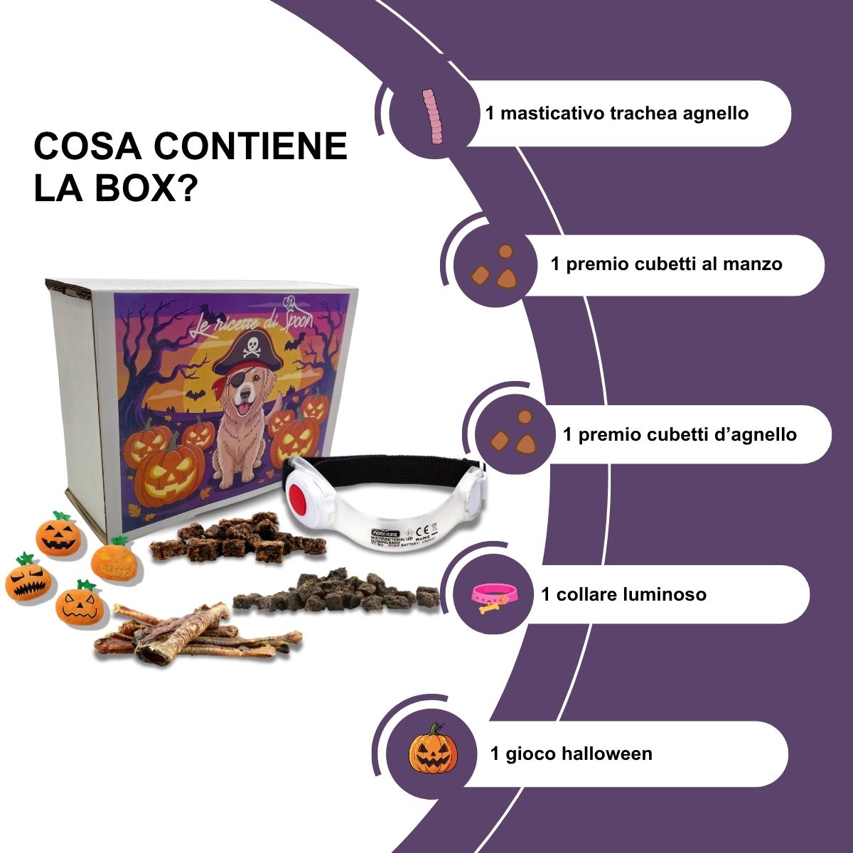 Box Halloween per Cani