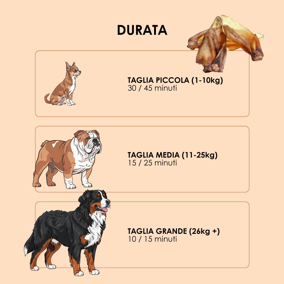 Snack funzionale Naturale per Cani: Orecchie di Manzo essiccate lentamente in forno 3 Pezzi
