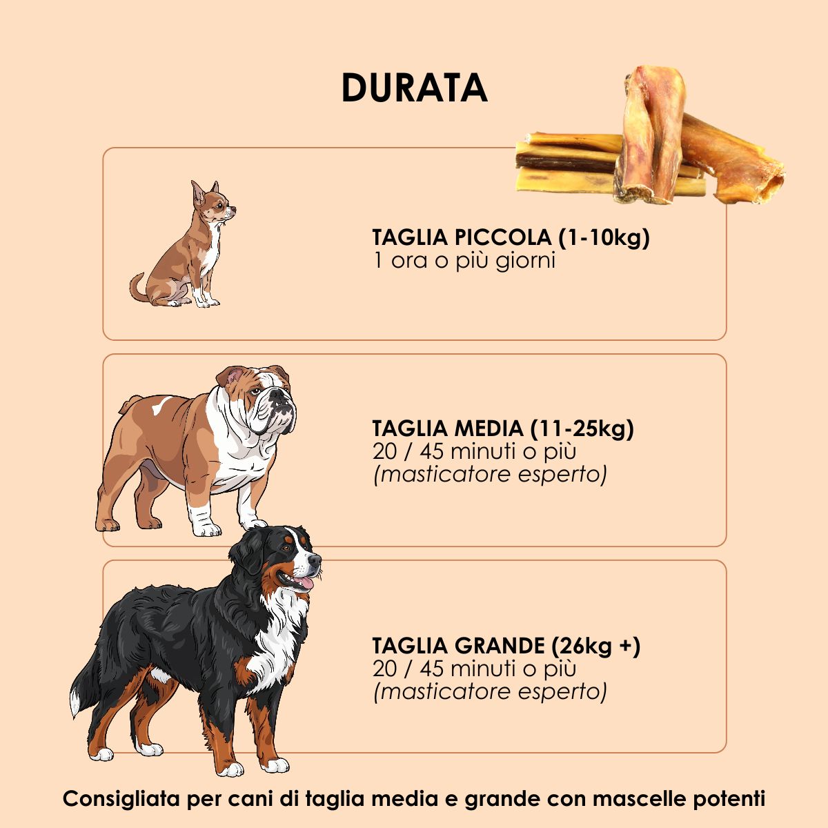 Snack funzionale Naturale per Cani: Pelle di Manzo essiccata lentamente in forno 100 g