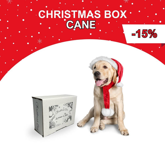 Christmas Box Cane