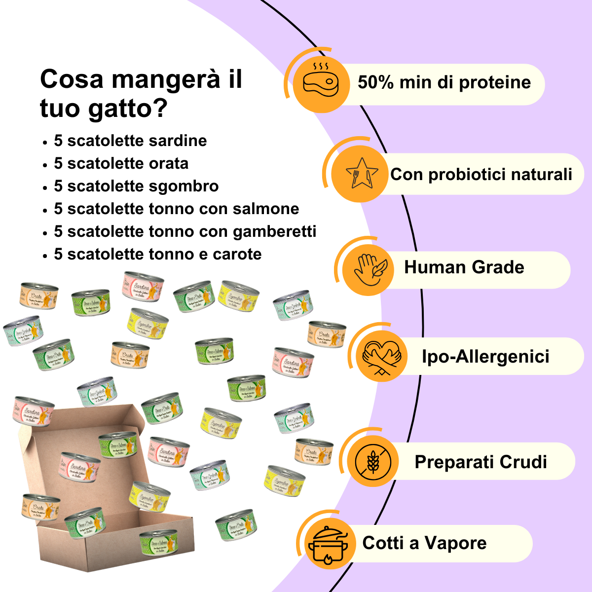 Box Degustazione Umido Gatto - Pesce Lover (30x85gr)