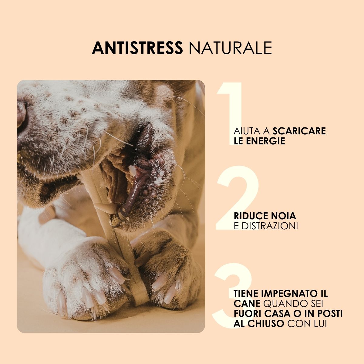 Snack funzionale Naturale per Cani: Esofago di Manzo essicato lentamente in forno  100 g