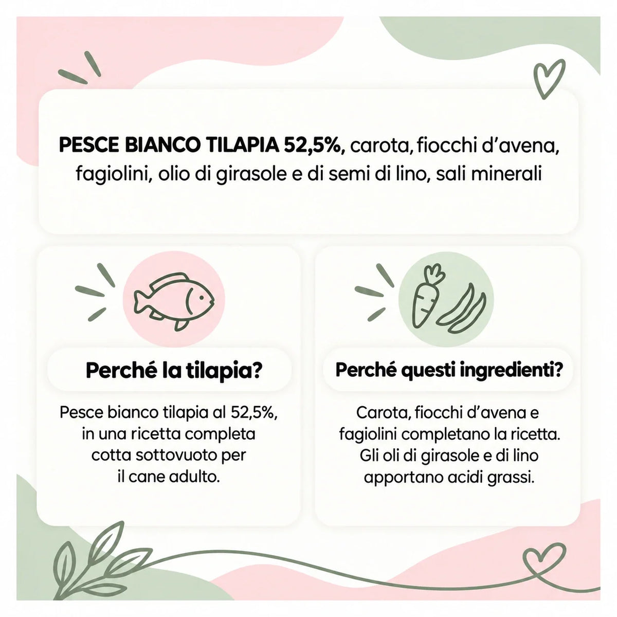 La BARF in busta Tilapia – Ingredienti e caratteristiche