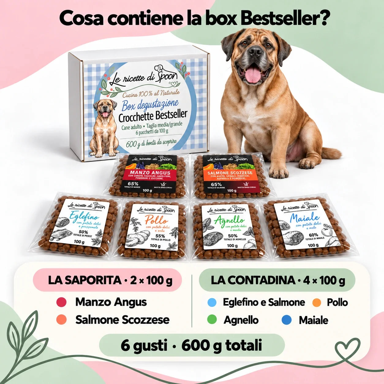 Box degustazione Bestseller cane adulto taglia media/grande, sei pacchetti da 100 g