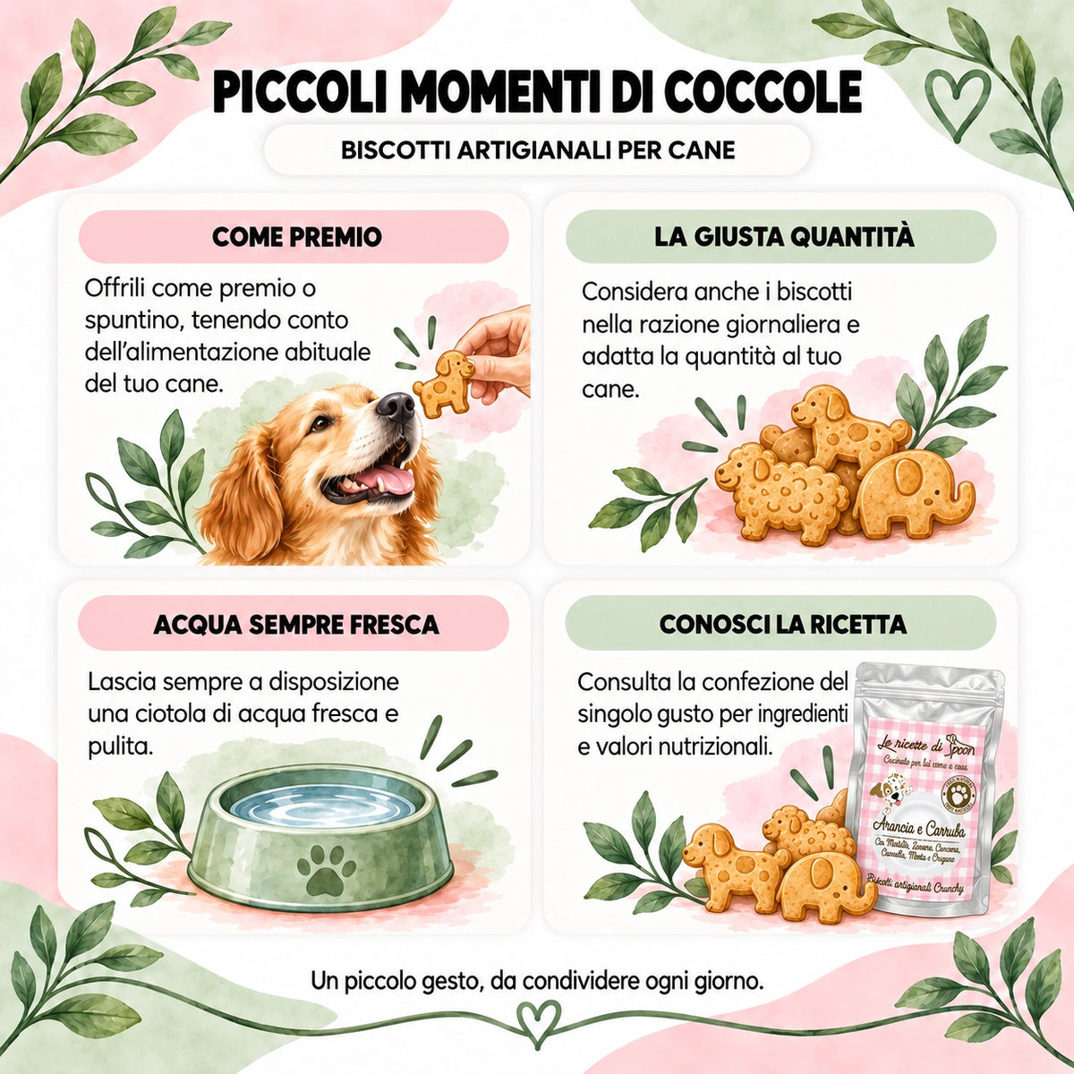 Guida biscotti artigianali cane: premio, porzioni, acqua fresca e lettura della ricetta