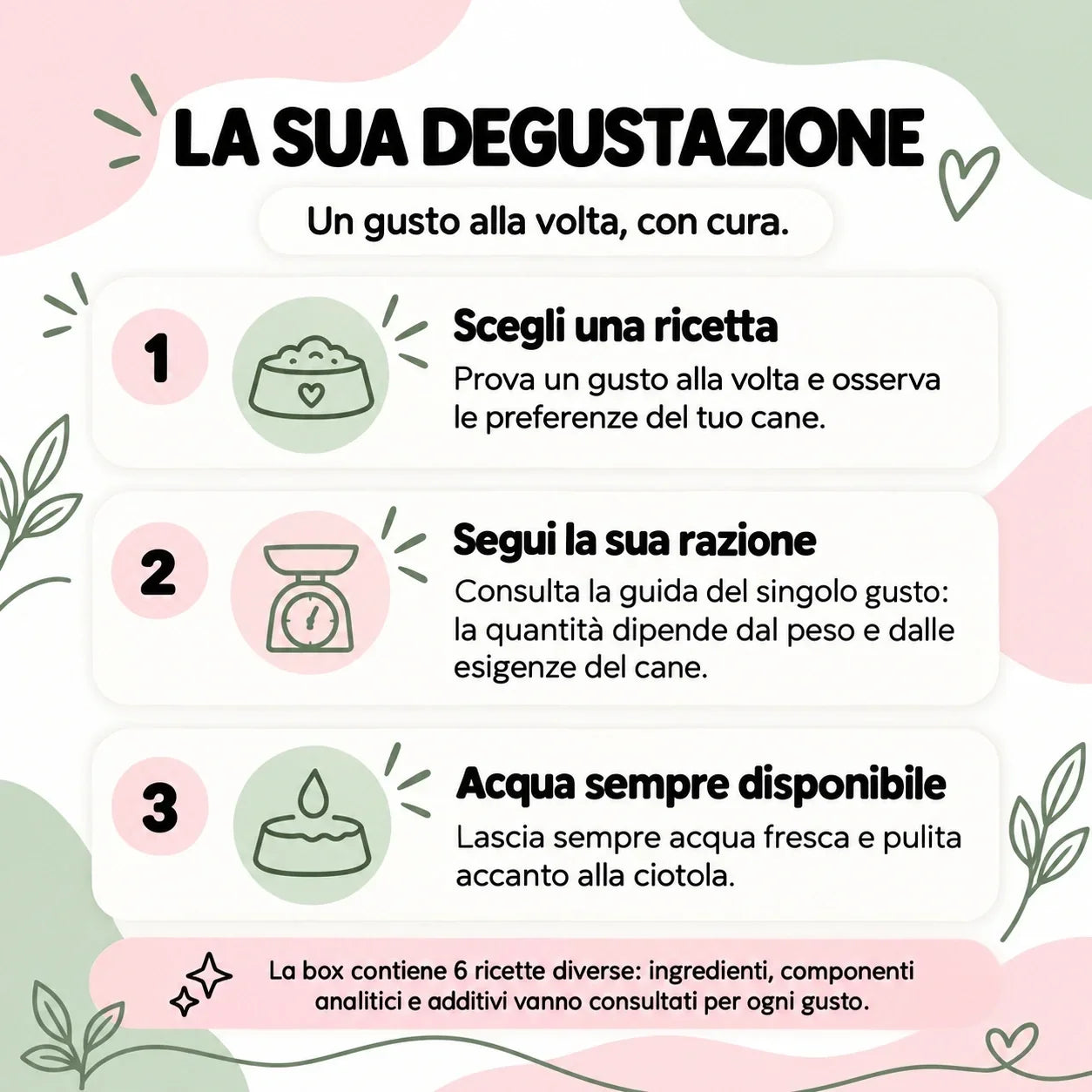 Guida alla degustazione delle crocchette per cane