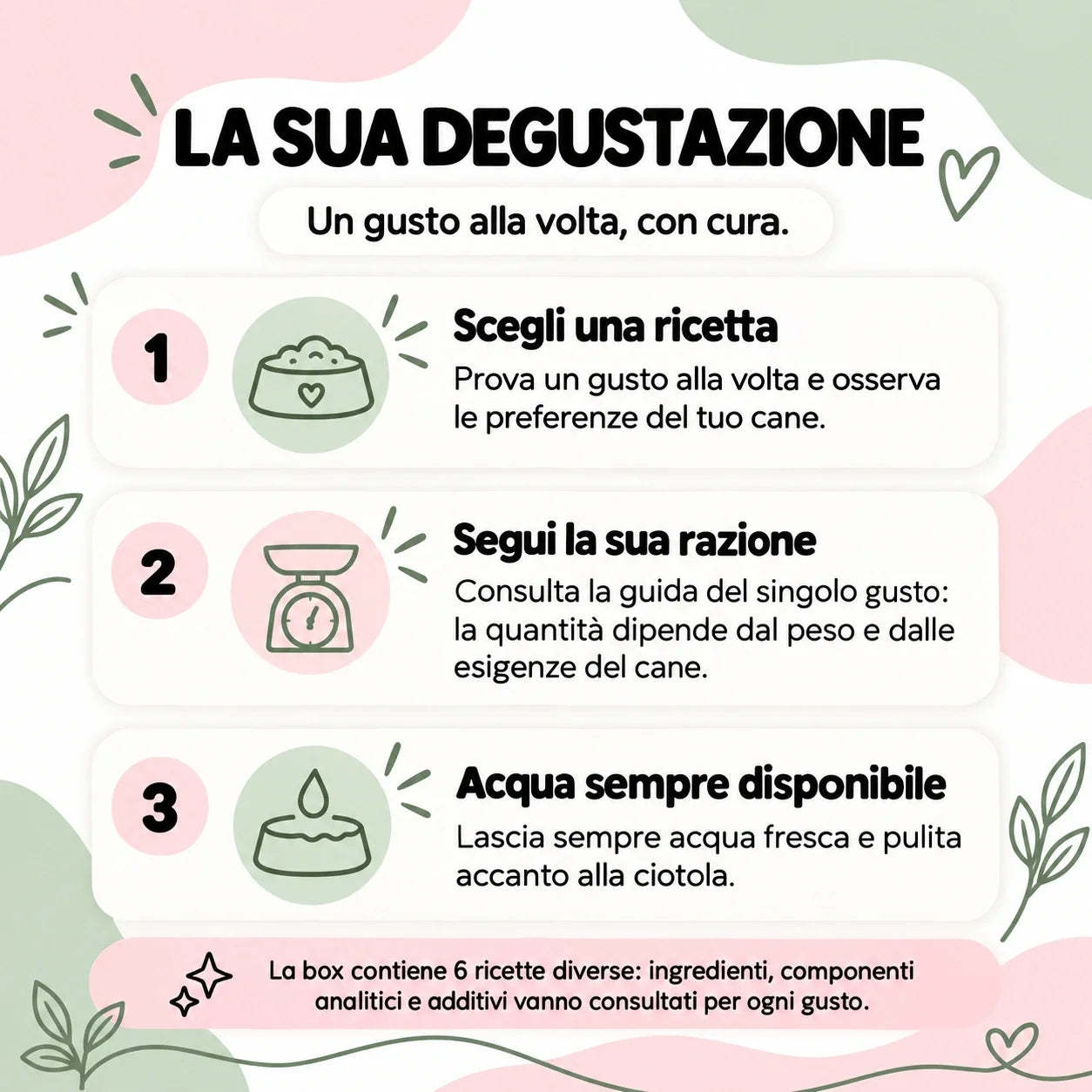 Guida alla degustazione delle sei ricette