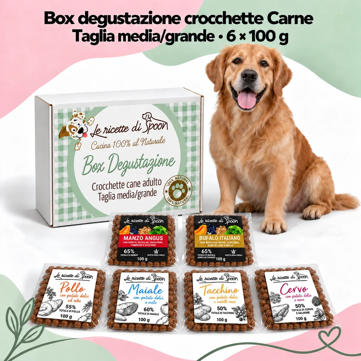 Box degustazione Carne cane adulto taglia media e grande, confezione verde e sei pacchetti da 100 g