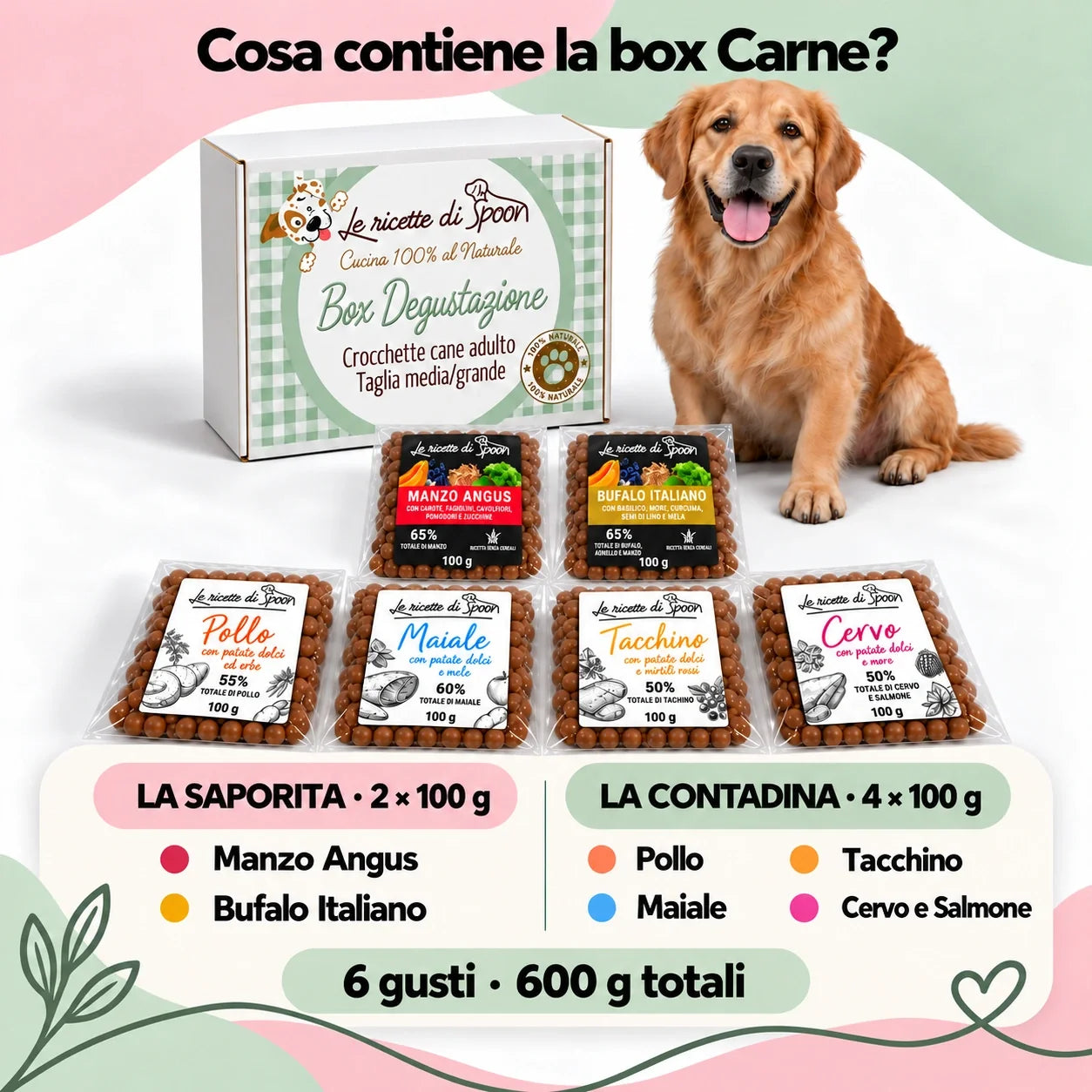 Box degustazione Carne cane adulto taglia media e grande, confezione verde e sei pacchetti da 100 g