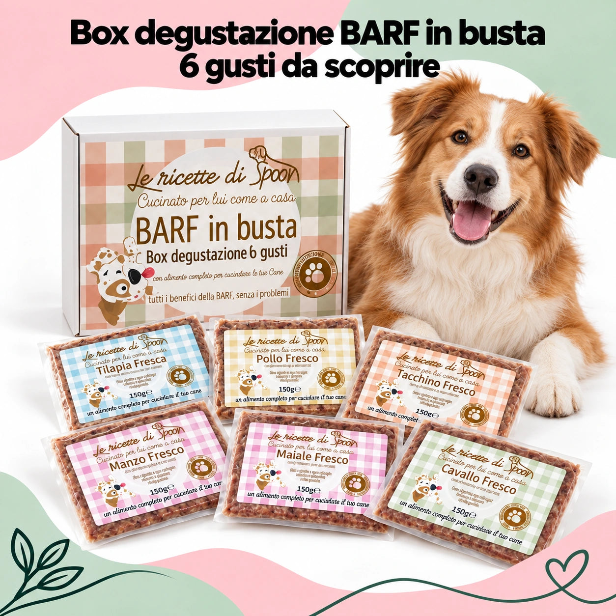 Box Casalinga BARF in busta, sei gusti con cane soddisfatto – Le Ricette di Spoon