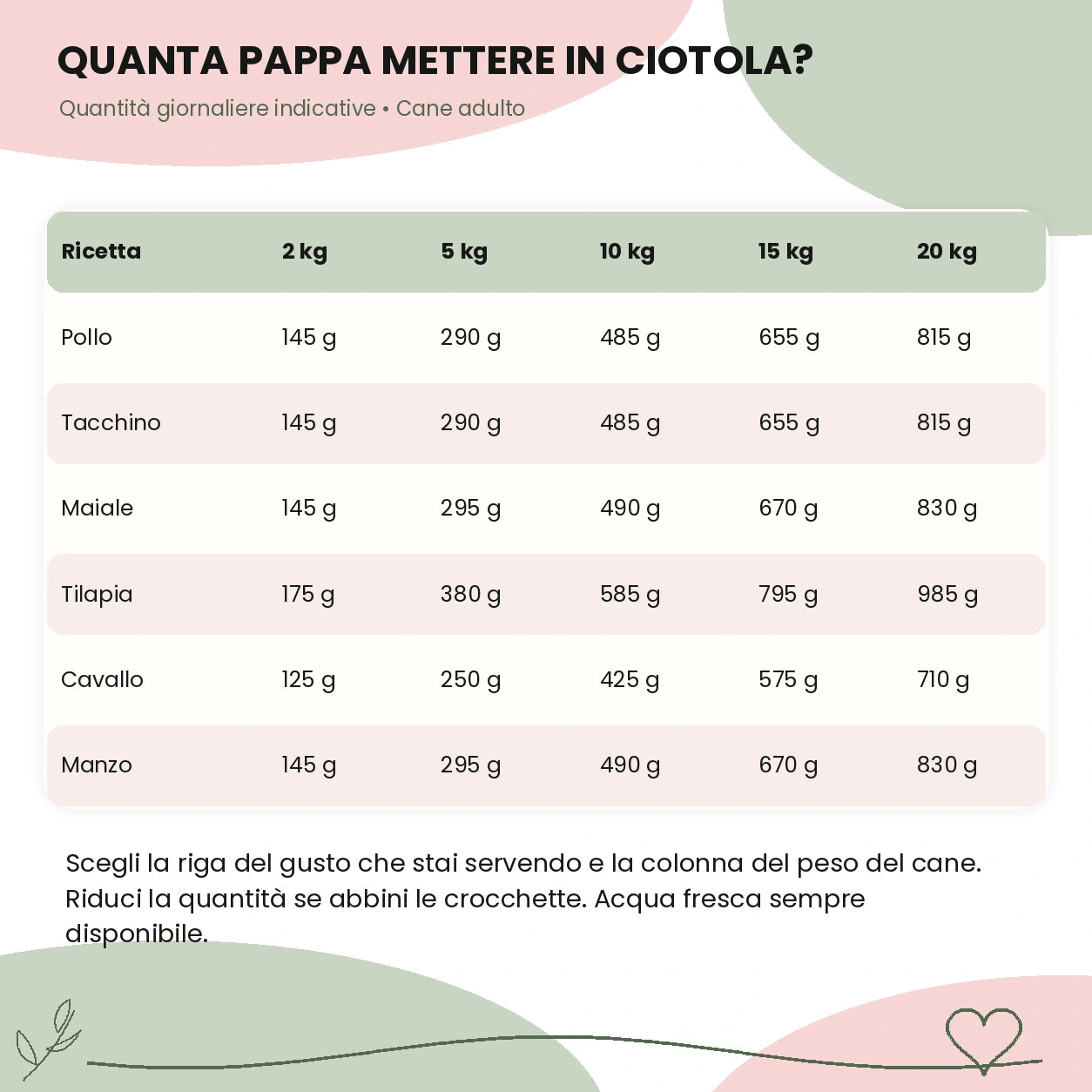 box casalinga barf cane 6 gusti guida alimentazione – Le Ricette di Spoon